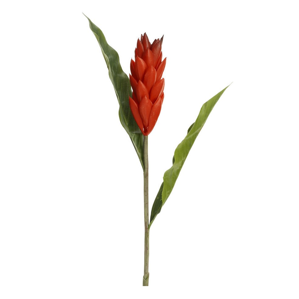 SPRAY GINGER LILY RED
