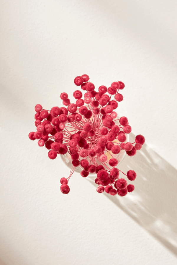 AMARELY FLOWER - LILAC PINK