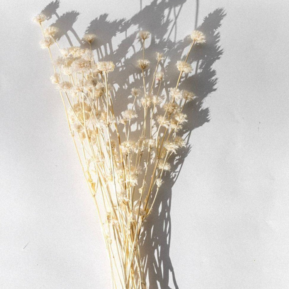 Large Golden Button - White