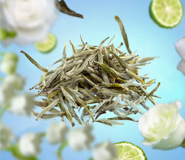PURE WHITE TEA FRAGRANCE LAMP REFILL 500ML